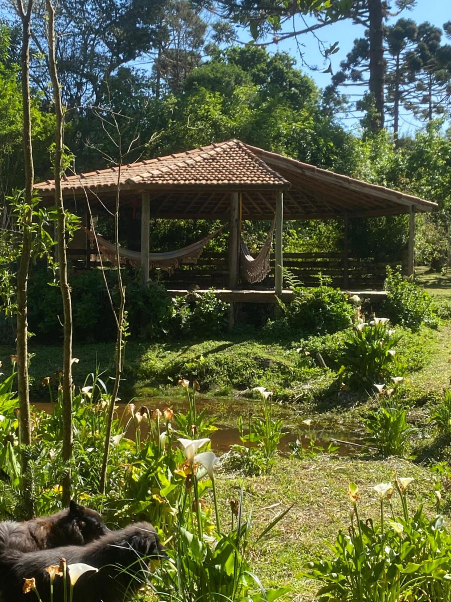 Sitio-Estalagem Purioca Vila Cunha Exterior foto